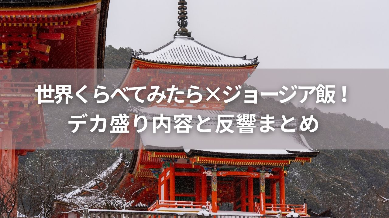 世界くらべてみたら×ジョージア飯！デカ盛り内容と反響まとめ