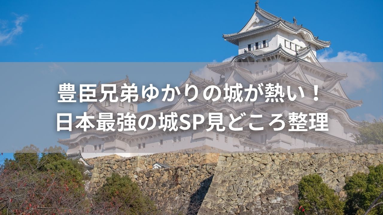 豊臣兄弟ゆかりの城が熱い！日本最強の城SP見どころ整理