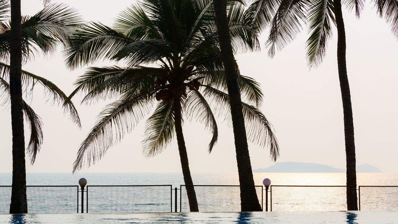 エンタメニュースに疲れた私が、情報の見方を変えて楽になった話