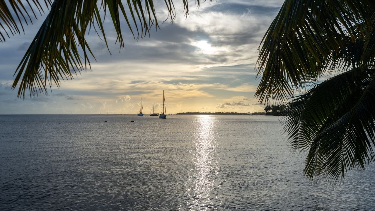 情報の真偽が分からないときに“保留”を選ぶようになった話