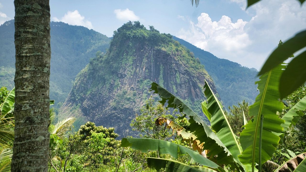 SNSで広まる話題を事実として受け取らないための自分ルール