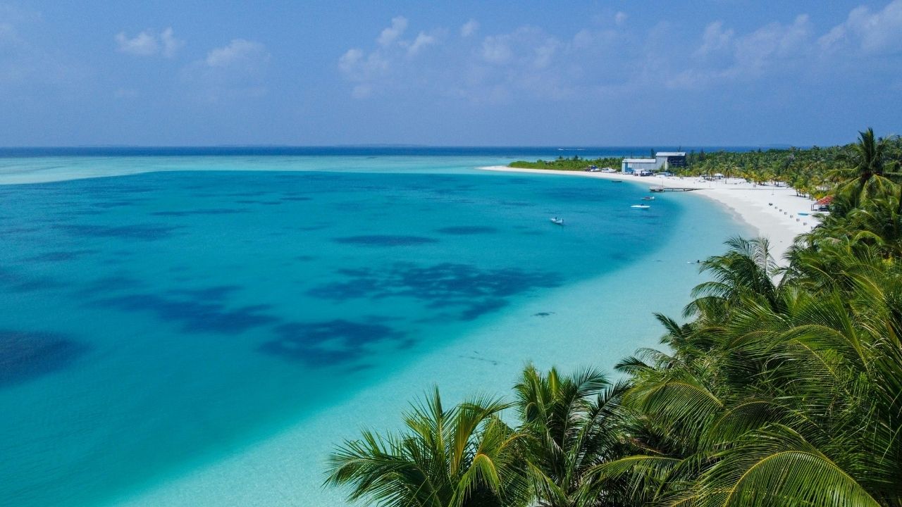 ミーハの“距離感ルール”