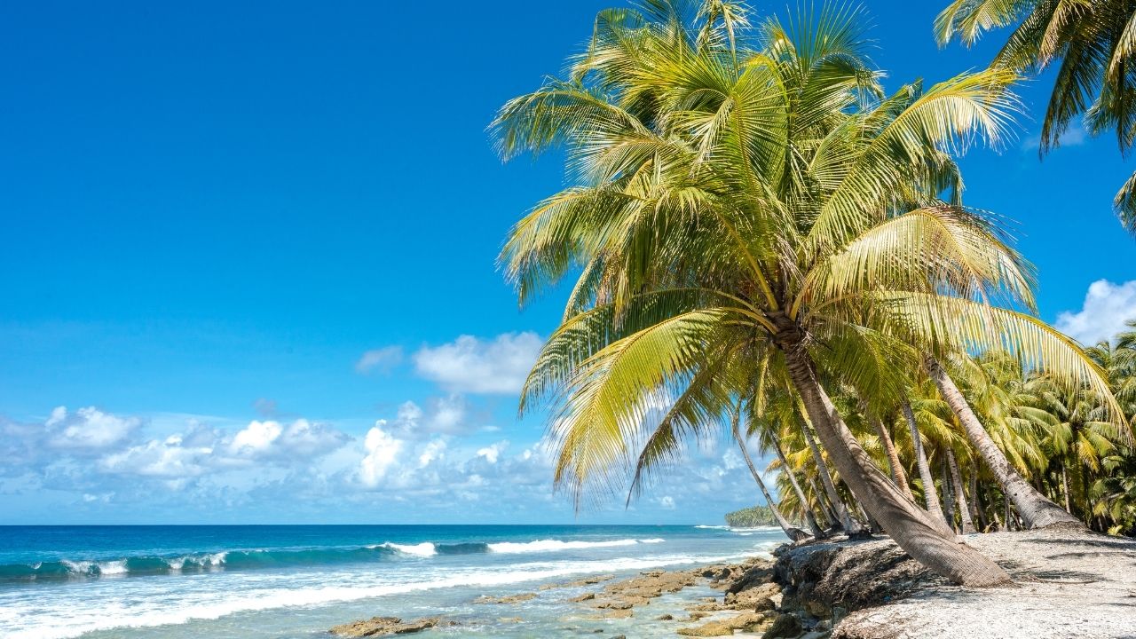 トレンドを追わない日を作ってみて分かったメリットとデメリット