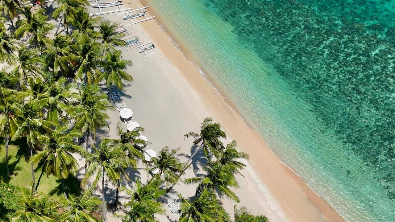 エンタメ好きが情報過多でしんどくなる理由を整理してみた