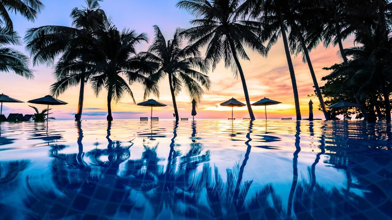 情報が多すぎて疲れる私が、エンタメの“取捨選択”で決めている6つの基準