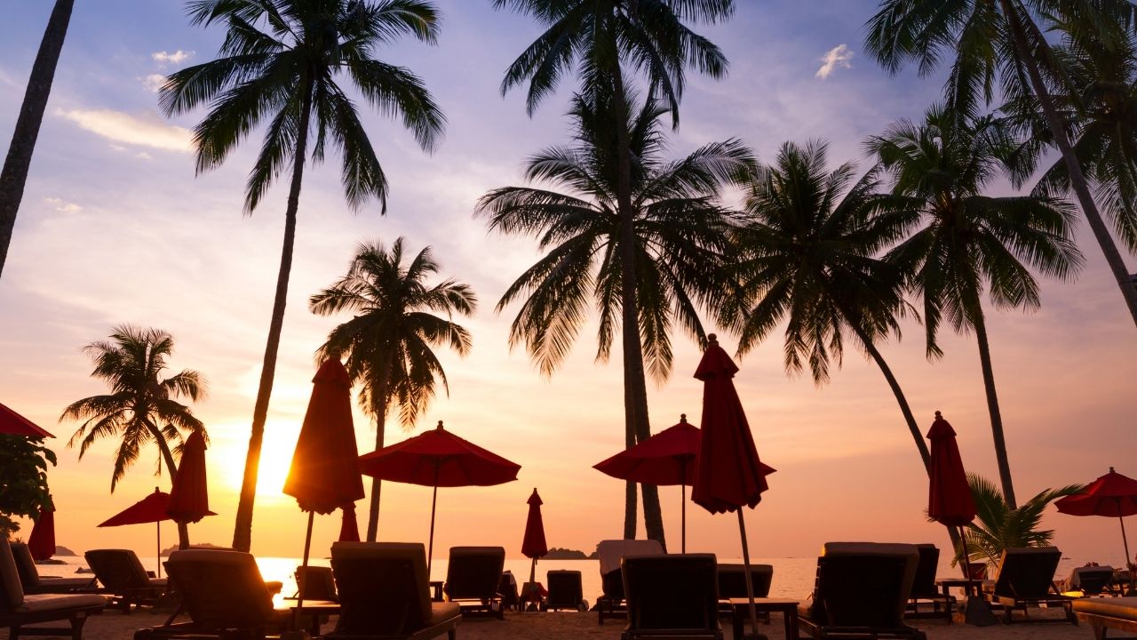 噂と事実を見分けるために、私がいつもやっている5つのこと